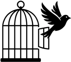 Skill 6: לחיות מחוץ לקופסה (Living Without the Box) - NeuroFlex ACT